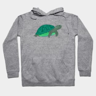 turtle Hoodie